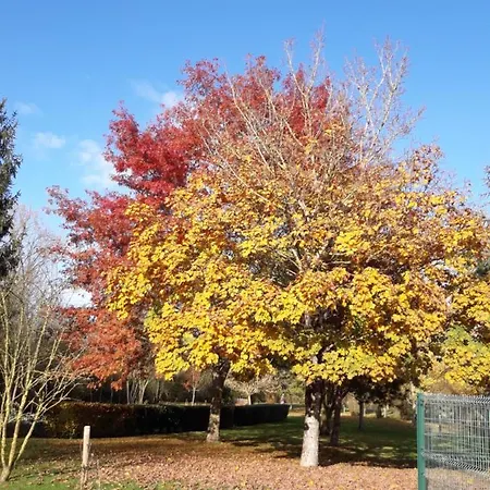 Lejlighed Logis De Lange Les Ecureuils