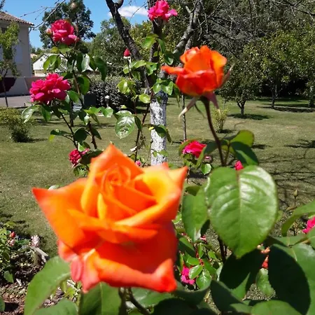 Logis De Lange Les Ecureuils * Saint-Hilaire-la-Palud