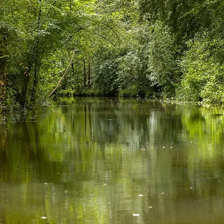 Logis De Lange Les Ecureuils Saint-Hilaire-la-Palud