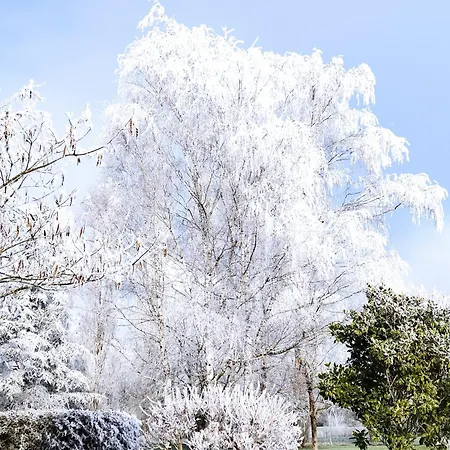 Logis De Lange Les Ecureuils *