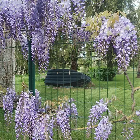 Logis De Lange Les Ecureuils Lägenhet *