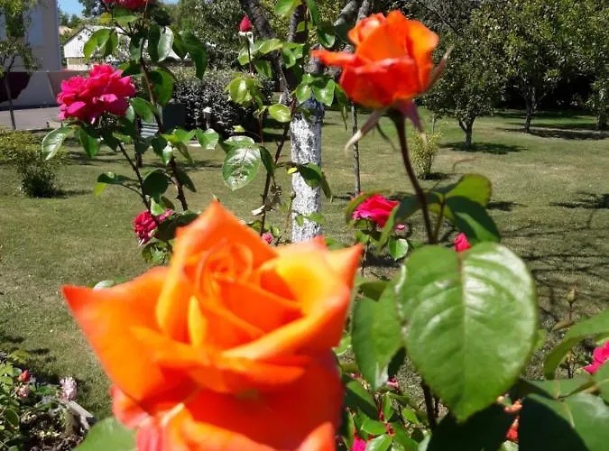 Logis De Lange Les Ecureuils * Saint-Hilaire-la-Palud