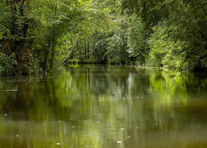Logis De Lange Les Ecureuils Saint-Hilaire-la-Palud
