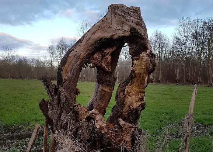 Apartamento Logis De Lange Les Ecureuils