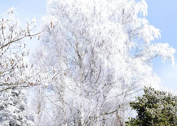 Logis De Lange Les Ecureuils *