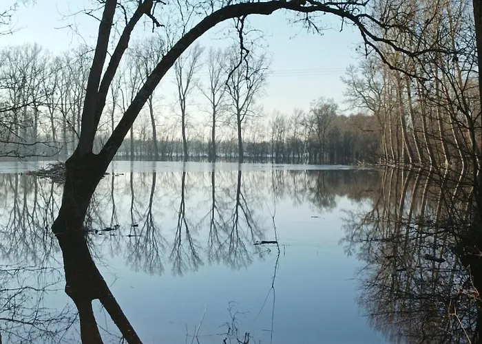 Logis De Lange Les Ecureuils * Saint-Hilaire-la-Palud